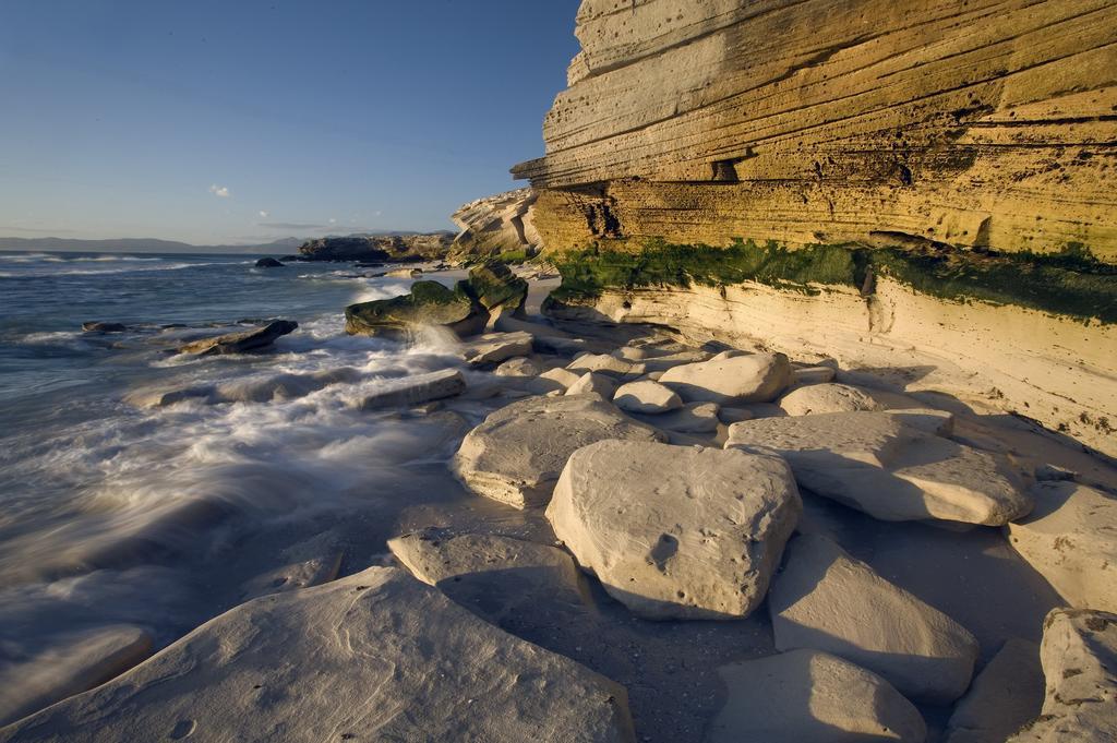 Grootbos Private Nature Reserve Gansbaai Εξωτερικό φωτογραφία