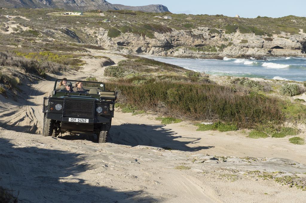 Grootbos Private Nature Reserve Gansbaai Εξωτερικό φωτογραφία